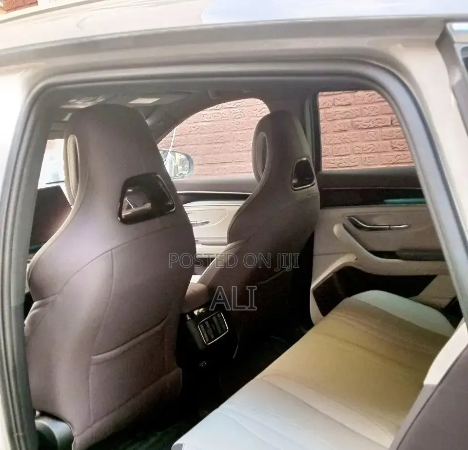 BYD Song Plus 2024 Gray