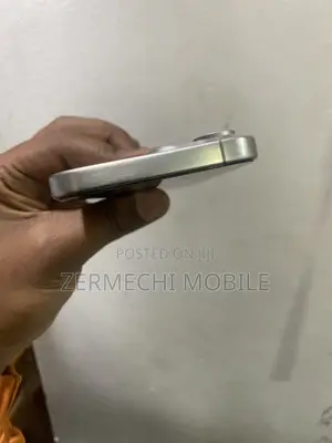 Apple iPhone 15 Pro Max 256 GB Silver