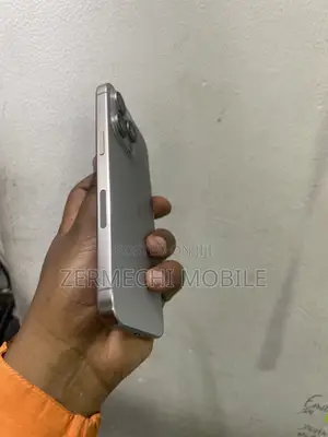 Apple iPhone 15 Pro Max 256 GB Silver