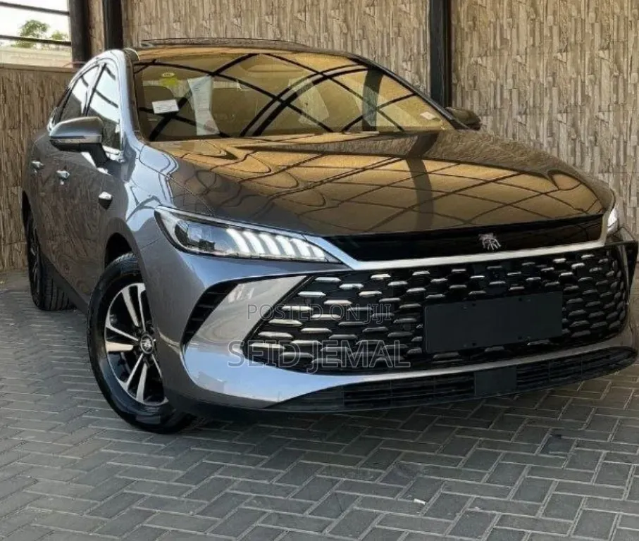 New BYD Qin Plus DM-i 2025 Gray
