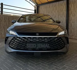 New BYD Qin Plus DM-i 2025 Gray
