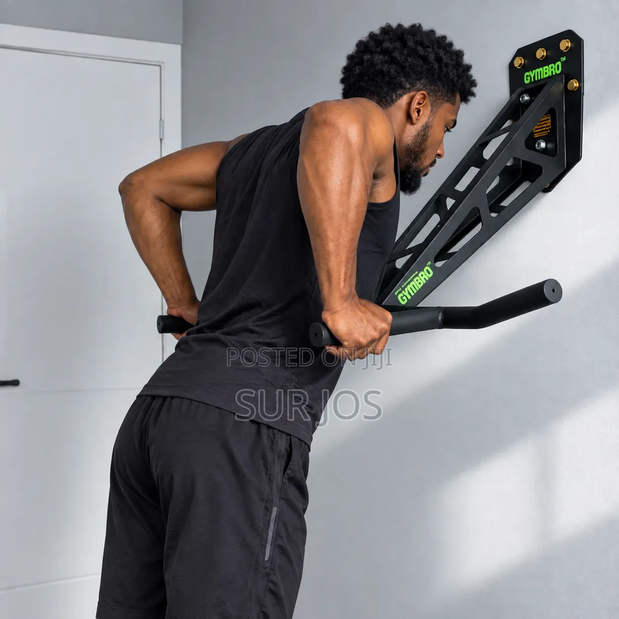 Pullup/Dip Bar