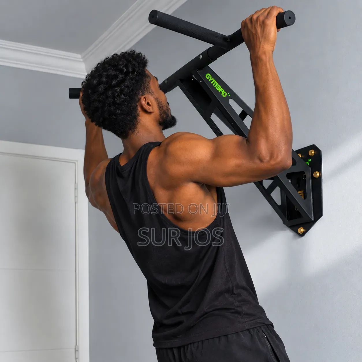 Pullup/Dip Bar