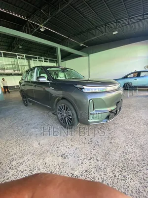 New Car 2025 Brown