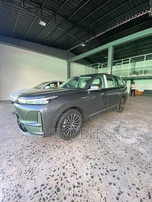 New Car 2025 Brown