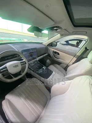 New Car 2025 Brown