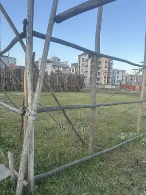 የሚሸጥ መሬት ቦታ አያት