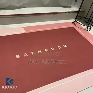 Modern Diatom Mud Bathroom Mat