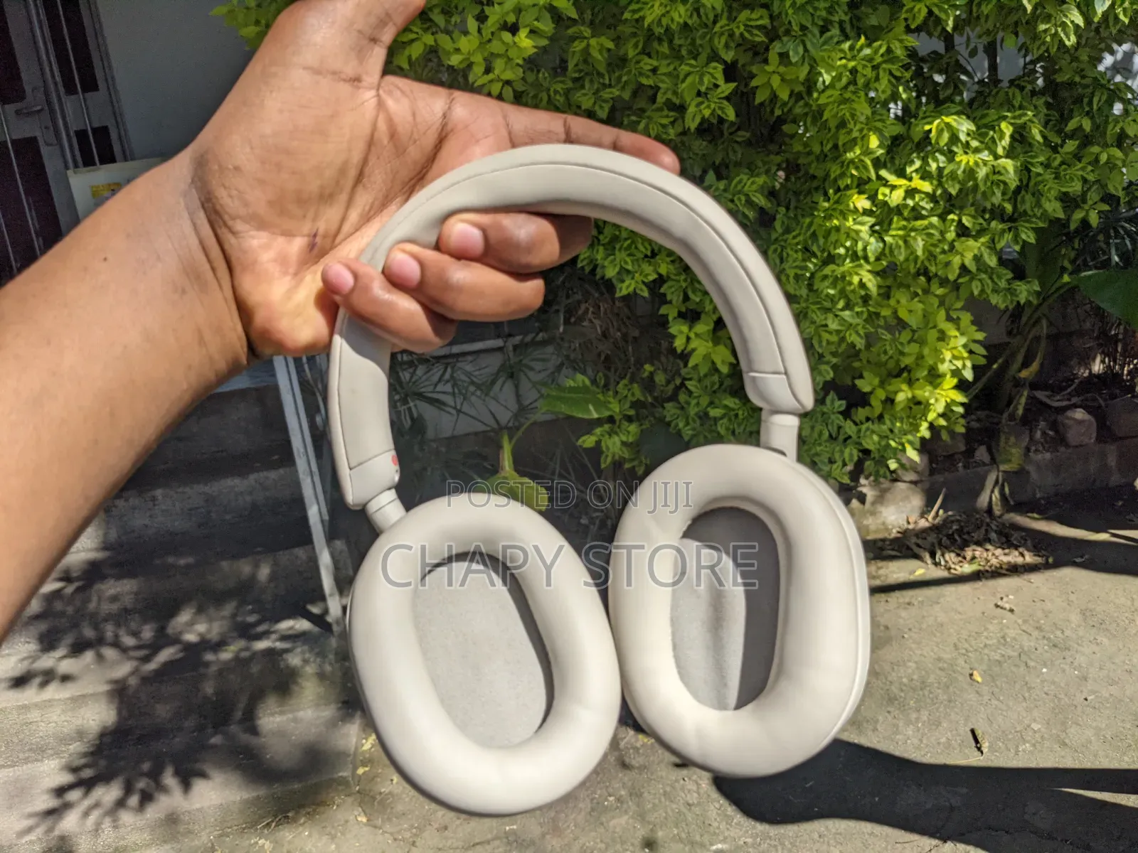 Sony Xm5 (Premium ANC Headphone)