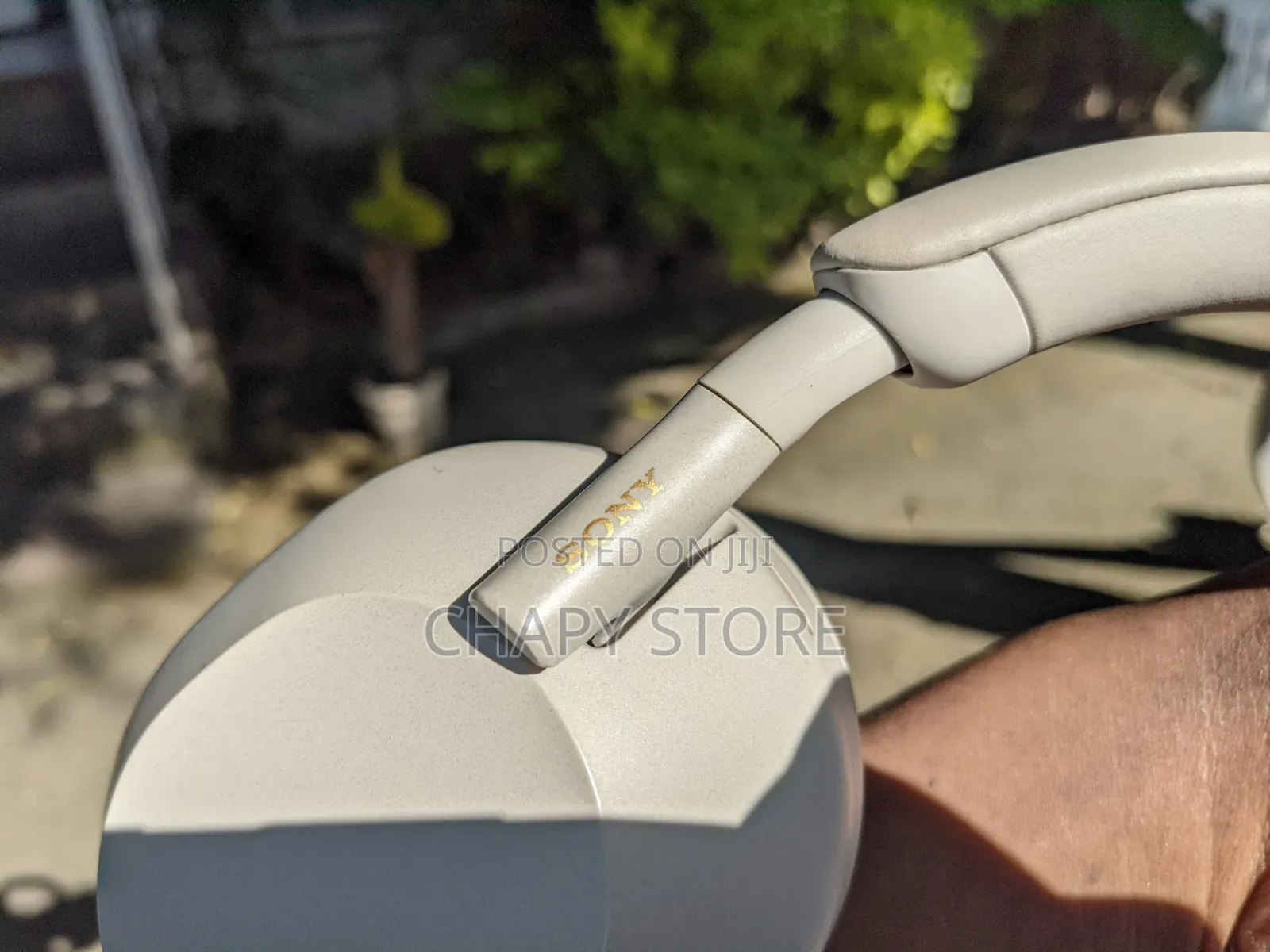 Sony Xm5 (Premium ANC Headphone)