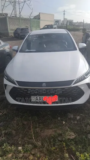Byd Qin Plus Rent