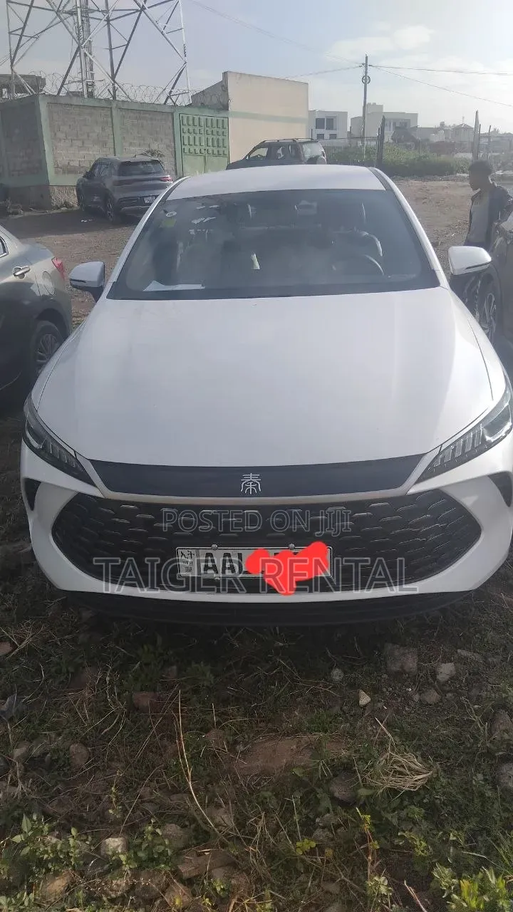 Byd Qin Plus Rent