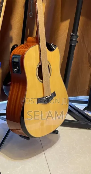 New Electric Guitar