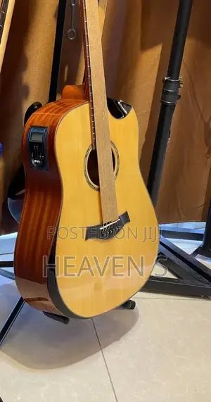 New Electric Guitar