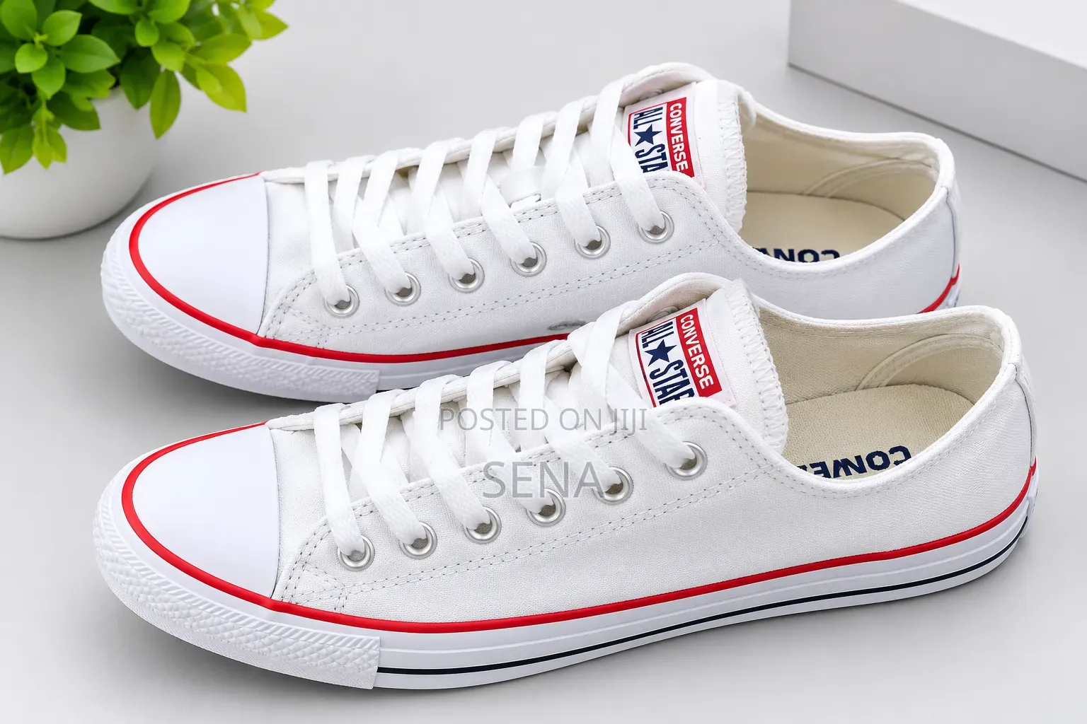 Converse Male