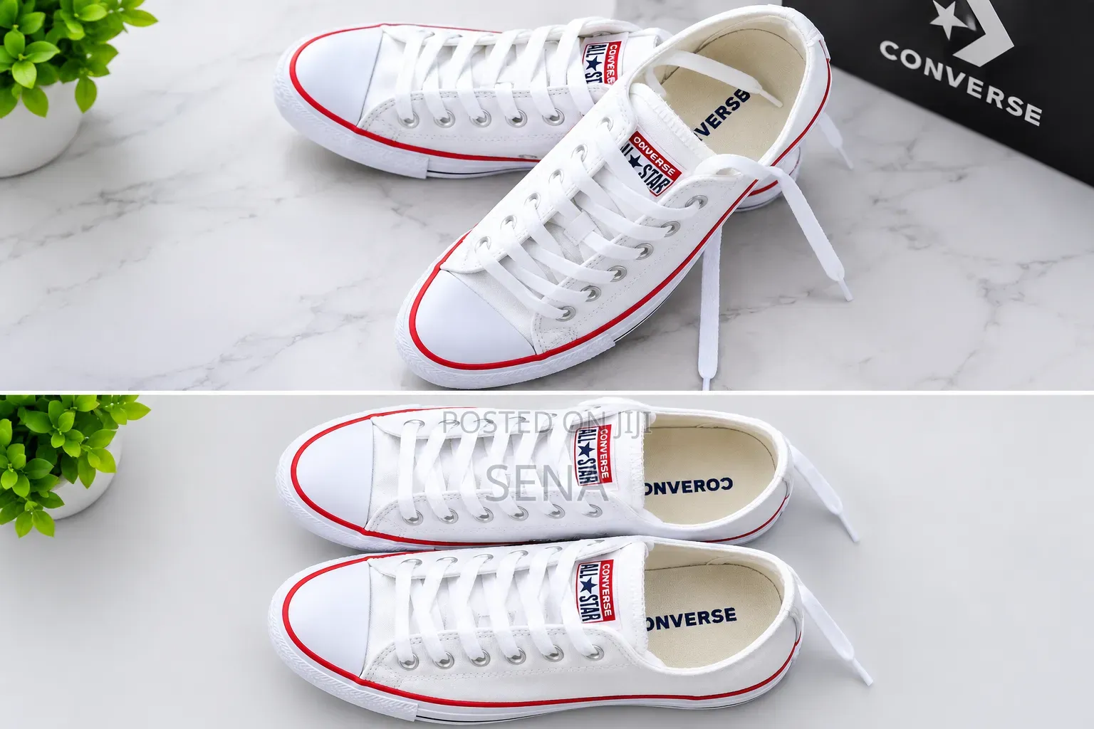 Converse Male