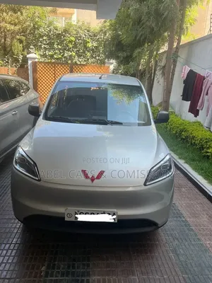 Willing 2024 7seater for Rent