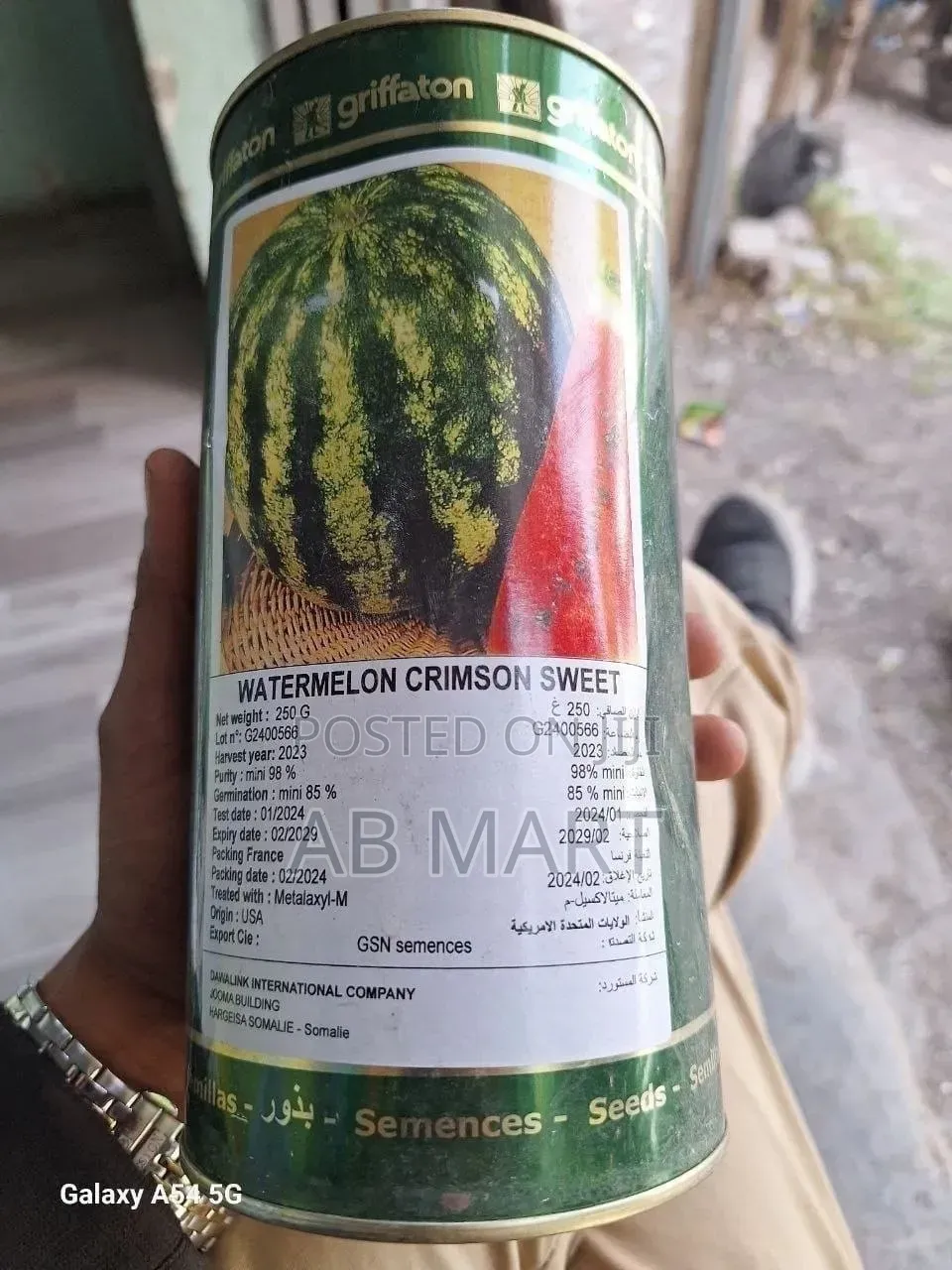 Watermelon Seed