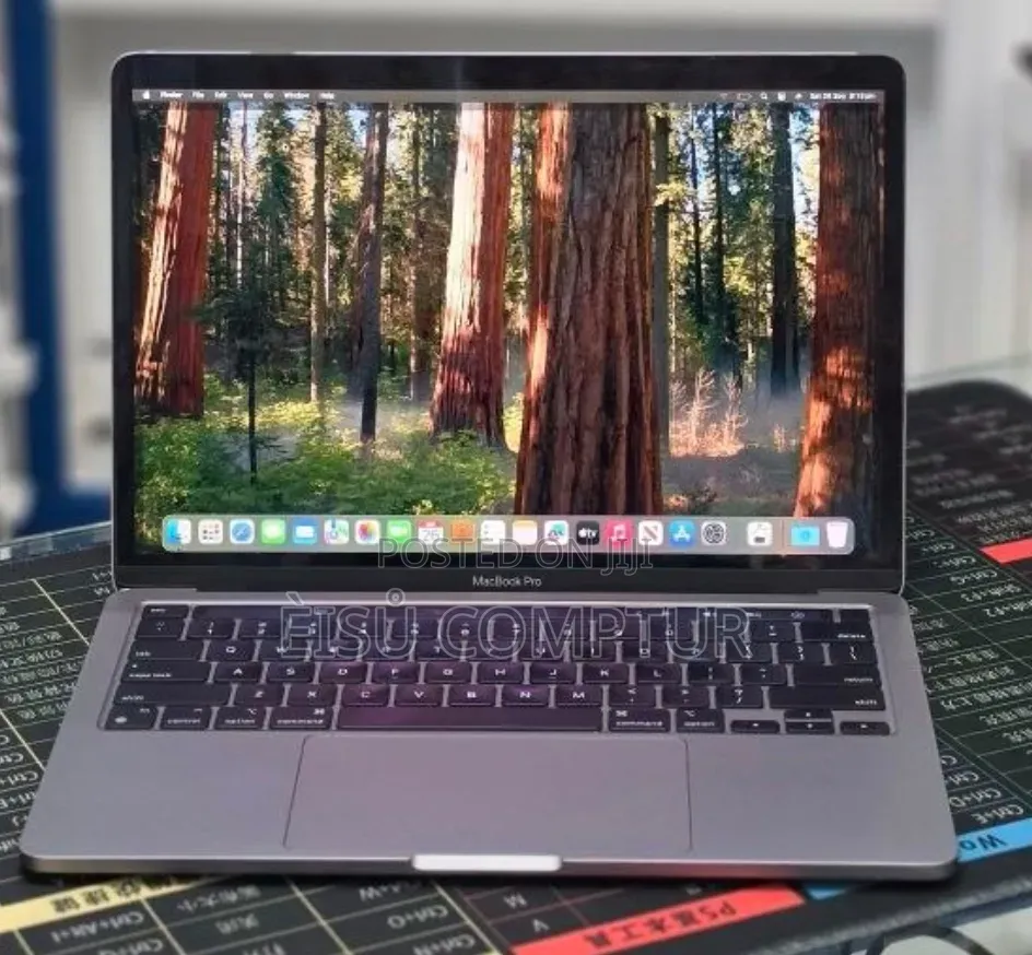 New Laptop Apple MacBook Pro 2021 M1 8GB Apple M1 SSD 256GB
