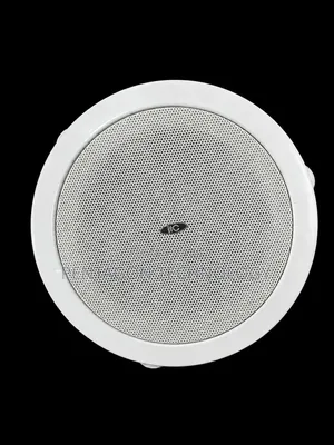 Ceiling PA Speaker,