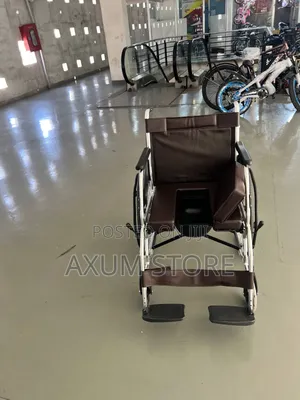 የመፀዳጃ መያዣ ያለው ማንዋል ዊልቸር — Manual Wheelchair With Toilet Seat
