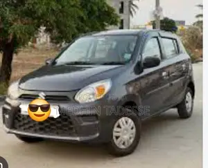 Suzuki Alto 2021 Brown