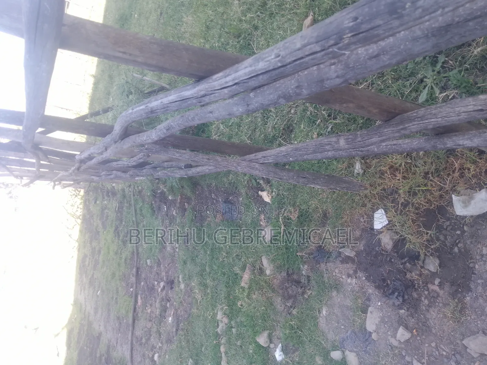 የሚሸጥ መሬት ቃጥላ ማርያም ( ኣራብሳ )