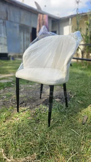 Modern Design Chairs for Home and Office