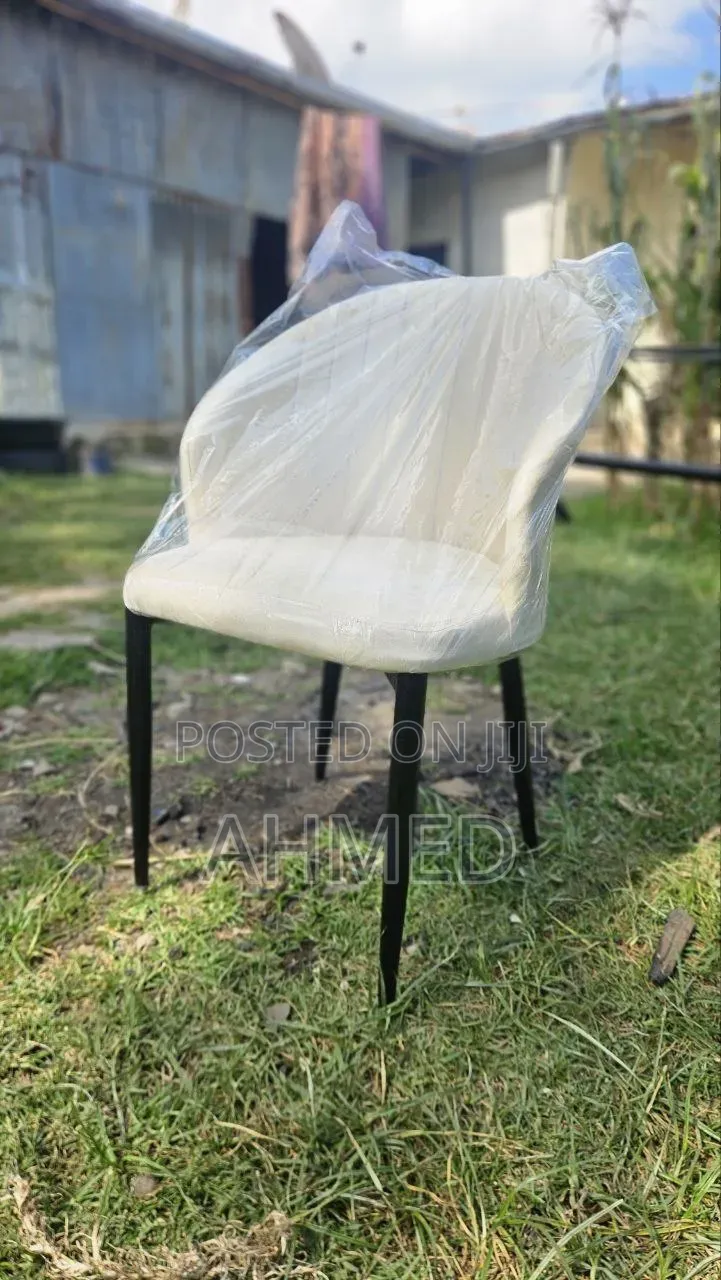 Modern Design Chairs for Home and Office
