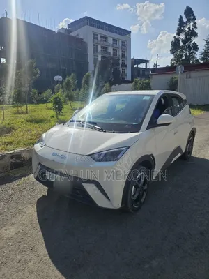BYD Seagull 2024