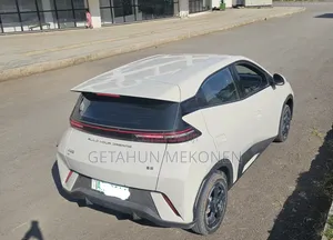 BYD Seagull 2024