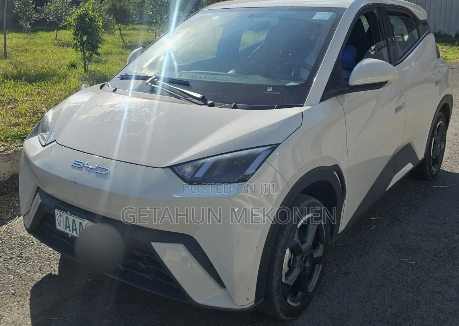 BYD Seagull 2024