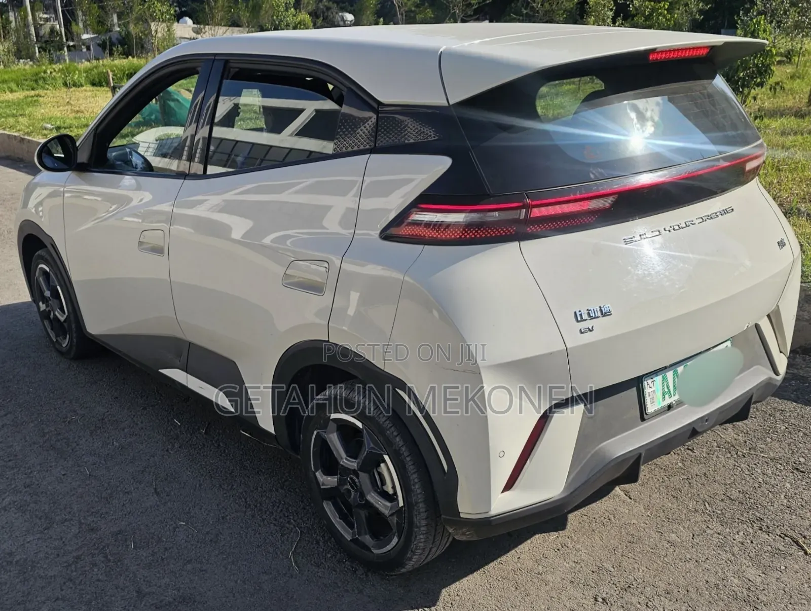 BYD Seagull 2024