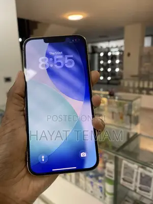 Apple iPhone 13 Pro Max 1 TB