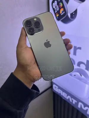 Apple iPhone 13 Pro 256 GB Gray