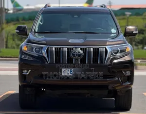 Toyota Land Cruiser 2019 Brown