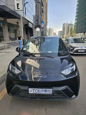 BYD Seagull 2024 Black