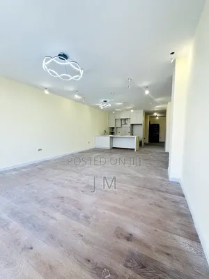 Furnished 4bdrm Apartment in Bole for rent