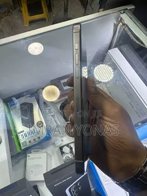Apple iPhone 15 Pro Max 256 GB Silver