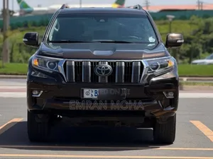 Toyota Land Cruiser Prado 2019 Brown