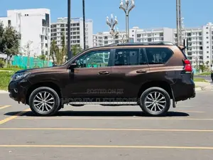 Toyota Land Cruiser Prado 2019 Brown
