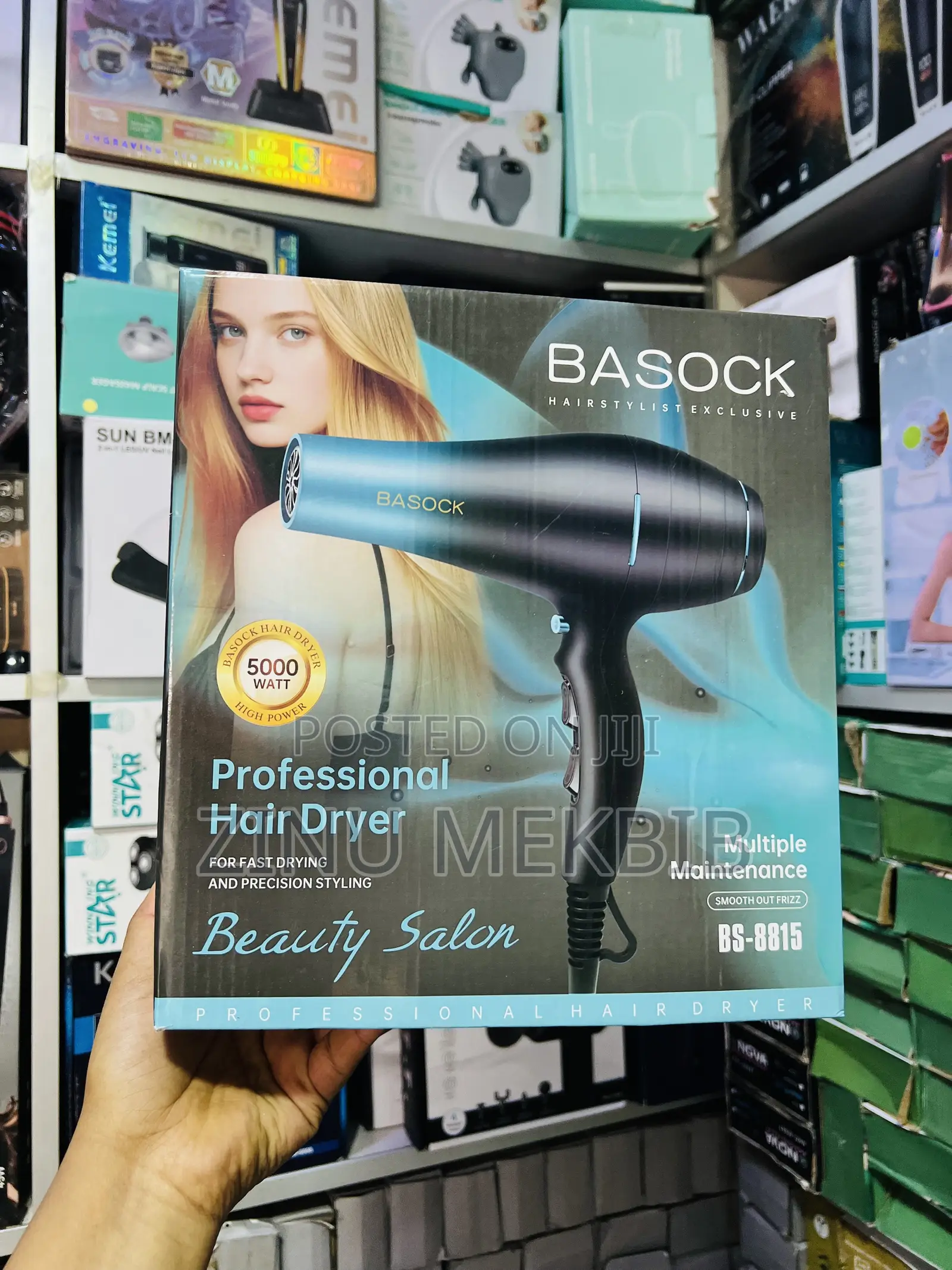 Basock Professional Hair Dryer