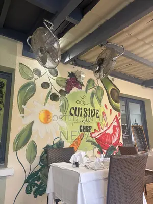 የግርግዳ ላይ ስዕል (Wall Art / Mural Art )