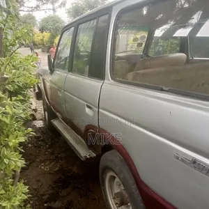 Toyota Land Cruiser 1989 Silver