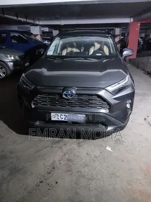 Toyota RAV4 2022 Gray