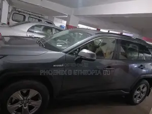 Toyota RAV4 2022 Gray