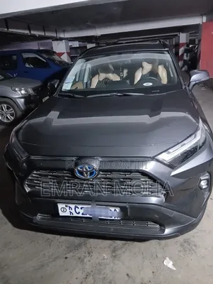 Toyota RAV4 2022 Gray