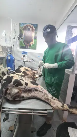 Home-to-Home Mobile Vet Service & Vaccination | Tom Vet Clinic