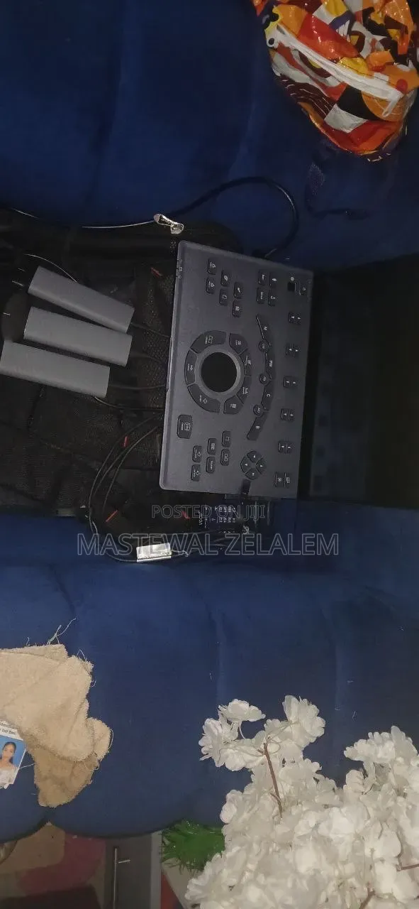 Digital Color Doppler Ultrasound System