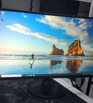 HP Monitor